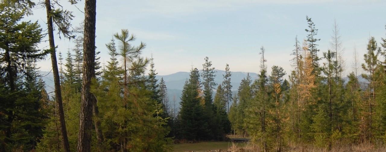 L1-b4 L1-b4 Hana Road Harrison, ID 83833 - Photo 1 of 1 Lot view
