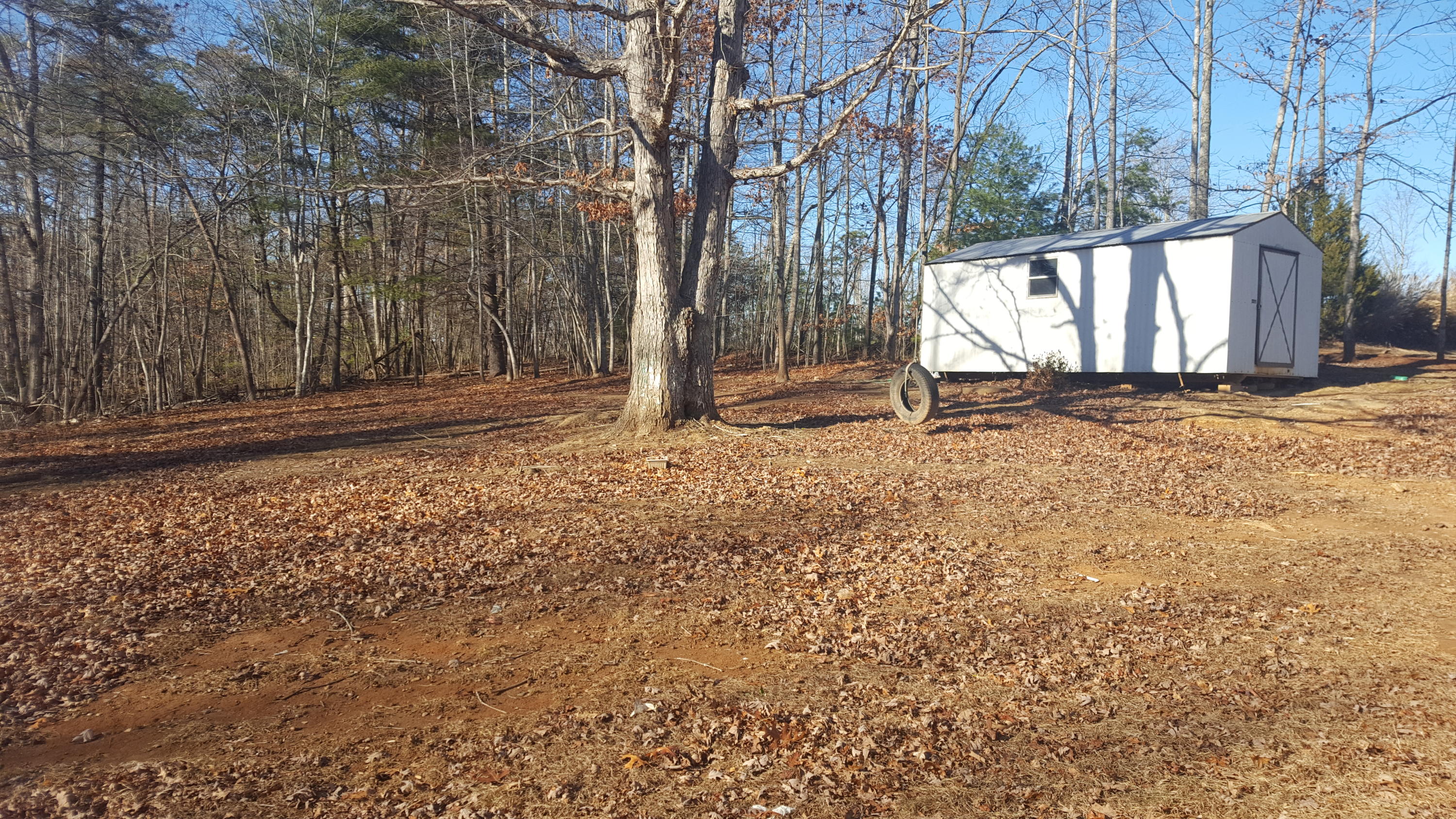 9825 Henry Road Henry, VA 24102 - Photo 3 of 6 a backyard of a house with a large tree