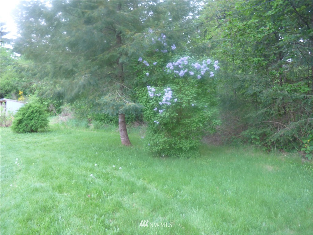 9911 178th Way Southwest Rochester, WA 98579 - Photo 22 of 24