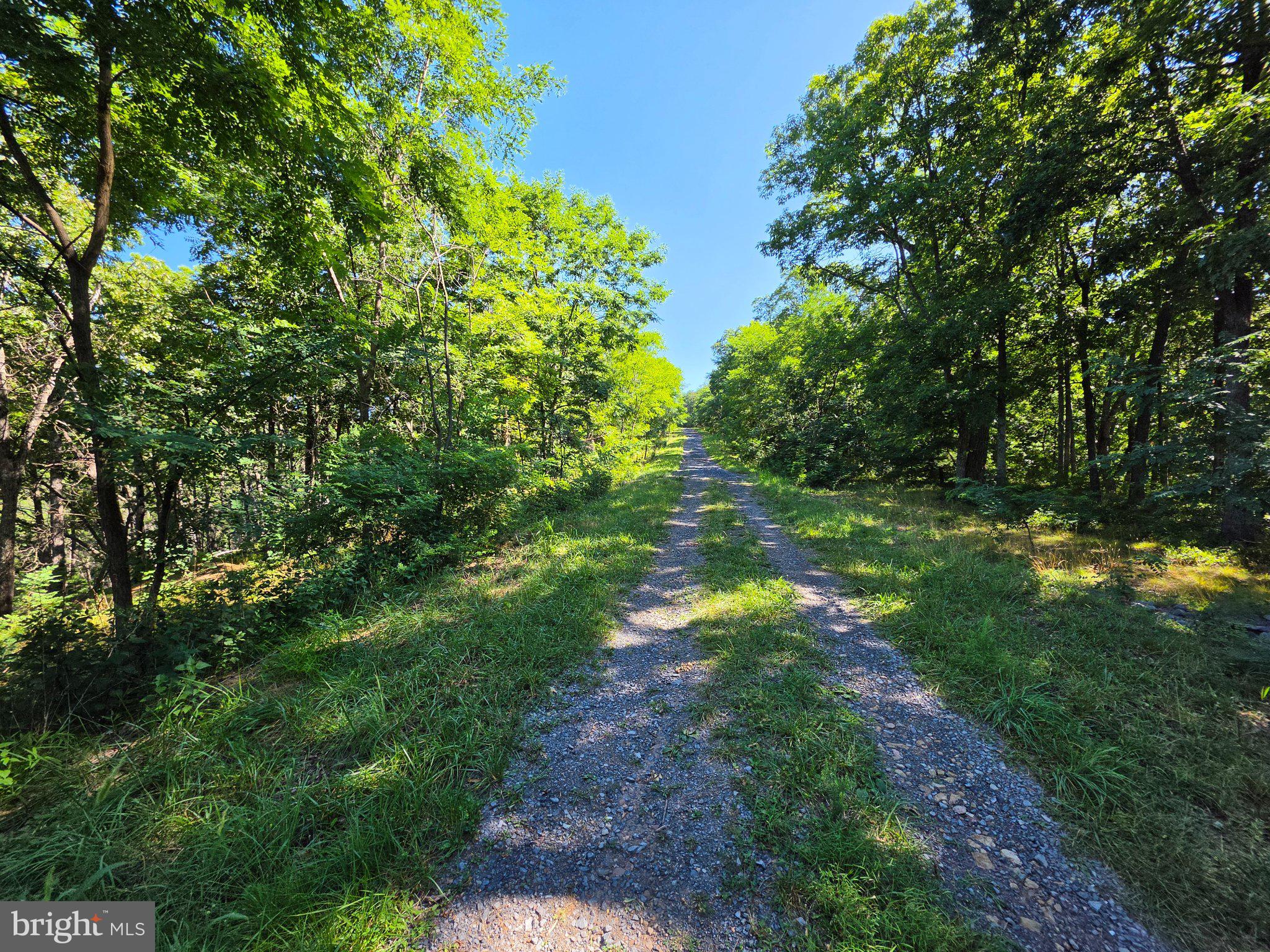 Lot 75 Hunters Rdg Trail Milam, WV 26838 - Photo 7 of 49 Gallery Image 7