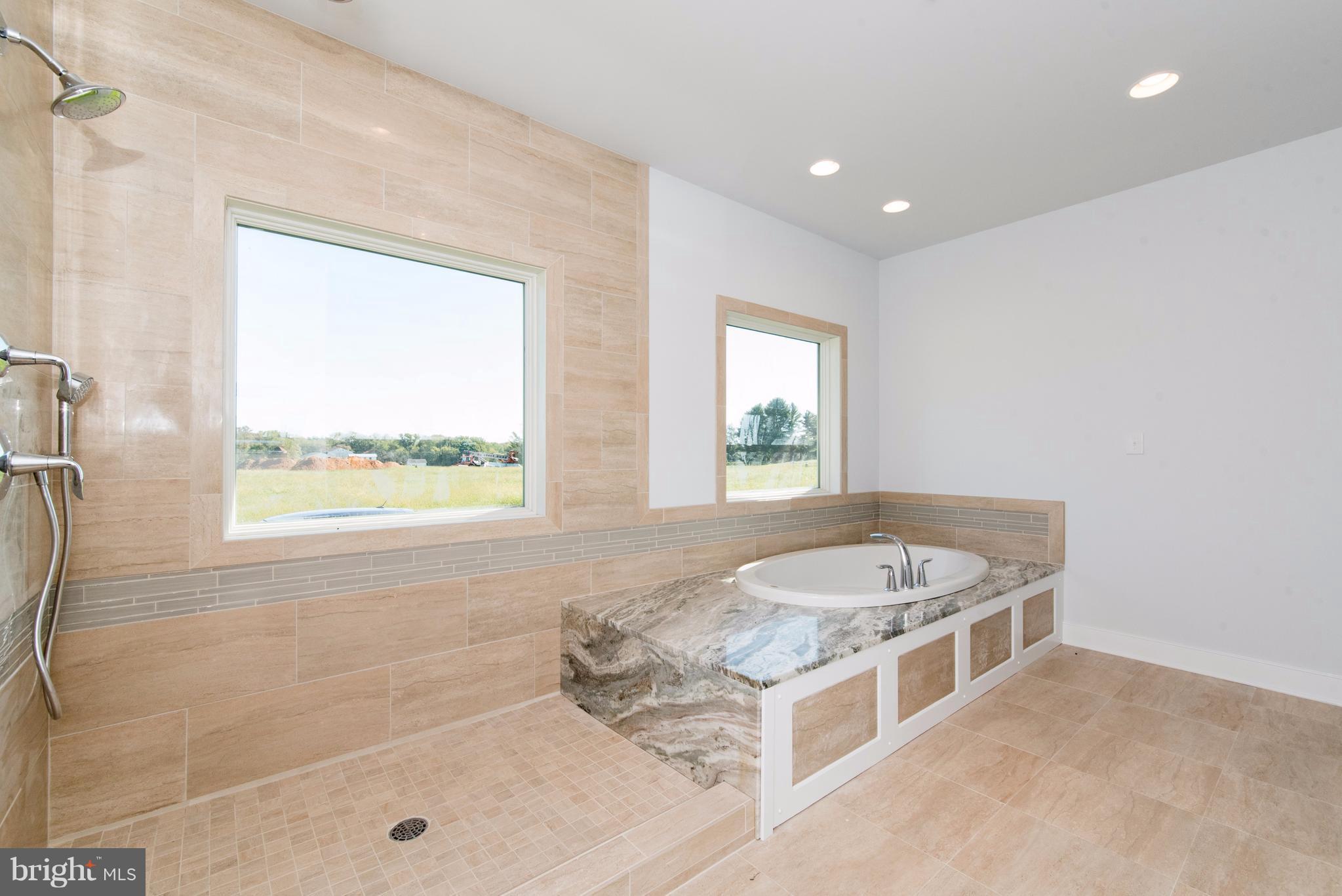 64 Galliac Drive Rising Sun, MD 21911 - Photo 18 of 30 Main Level Master Bathroom