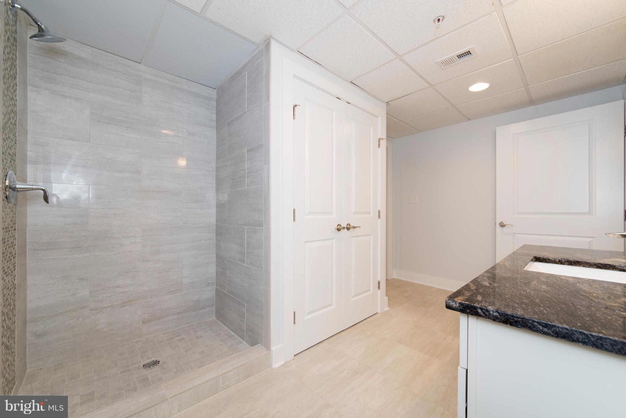 64 Galliac Drive Rising Sun, MD 21911 - Photo 28 of 30 Lower Level Dual Entry Bathroom