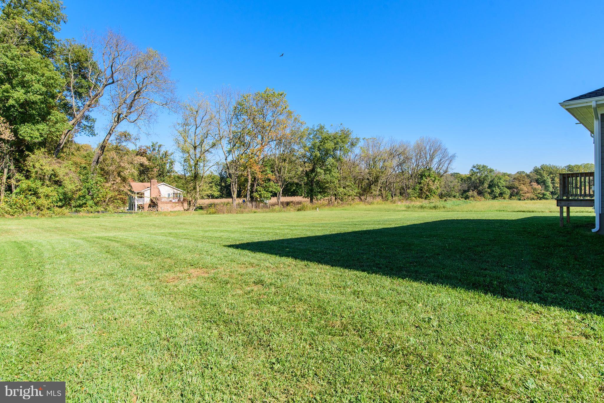 64 Galliac Drive Rising Sun, MD 21911 - Photo 29 of 30 Large level yard