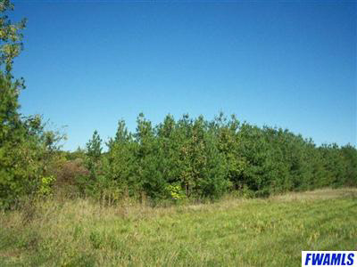 3900-4000 Eggeman Road Fort Wayne, IN 46814 - Photo 3 of 24 Gallery Image 3