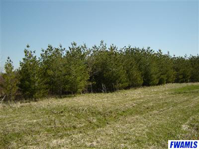 3900-4000 Eggeman Road Fort Wayne, IN 46814 - Photo 5 of 24 Gallery Image 5