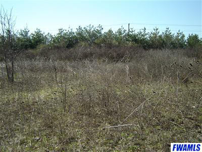 3900-4000 Eggeman Road Fort Wayne, IN 46814 - Photo 8 of 24 Gallery Image 8