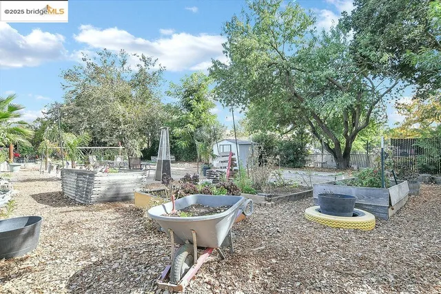 a view of a backyard with garden and plants