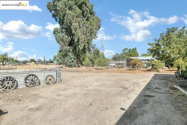 a view of a yard with plants and trees