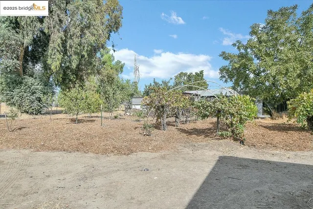 a view of a house with backyard and plants