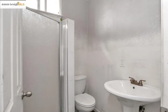 a view of a dry yard with trees