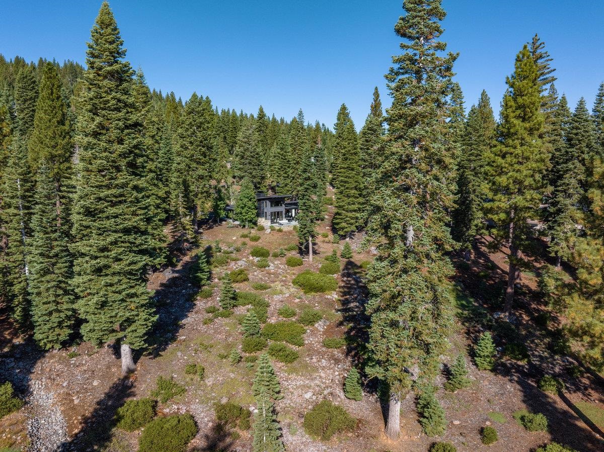 8370 Valhalla Drive Truckee, CA 96161 - Photo 19 of 21 a view of a yard with plants and trees