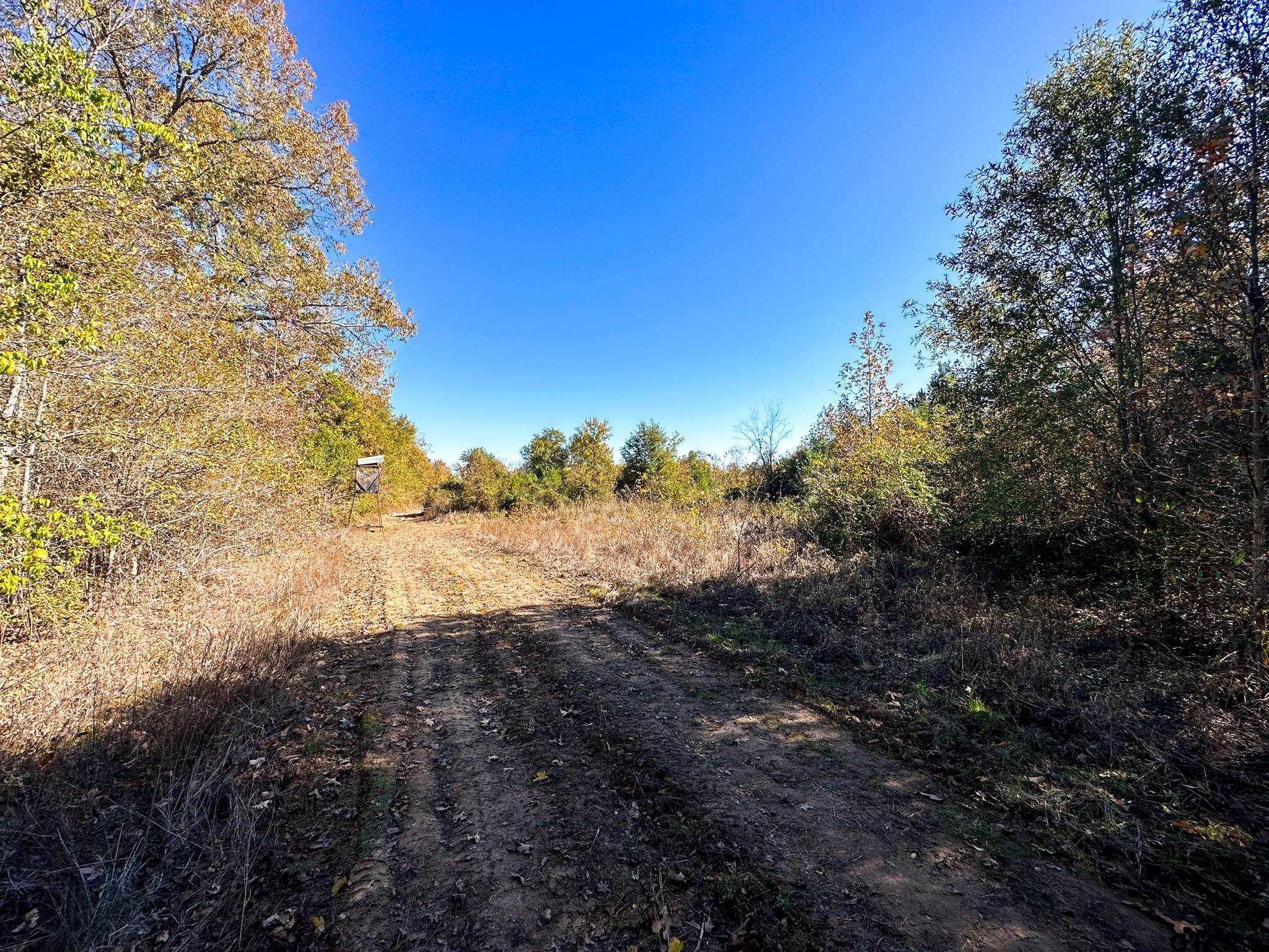 1301 Rusk Tx 75785 Rusk, TX 75785 - Photo 6 of 8 a view of a yard with a tree