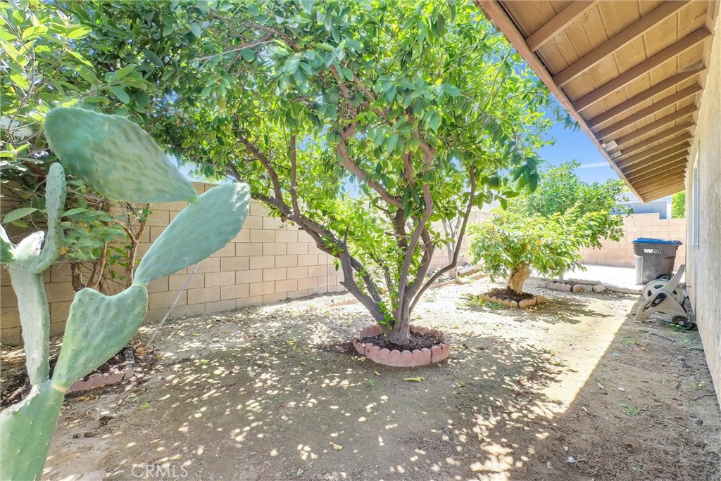 3415 Siskiyou Circle Riverside, CA 92503 - Photo 29 of 41 a view of a tree in front of a house