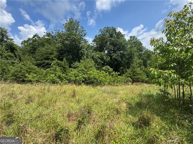 0 Ben Higgins Road Dahlonega, GA 30533 - Photo 15 of 21