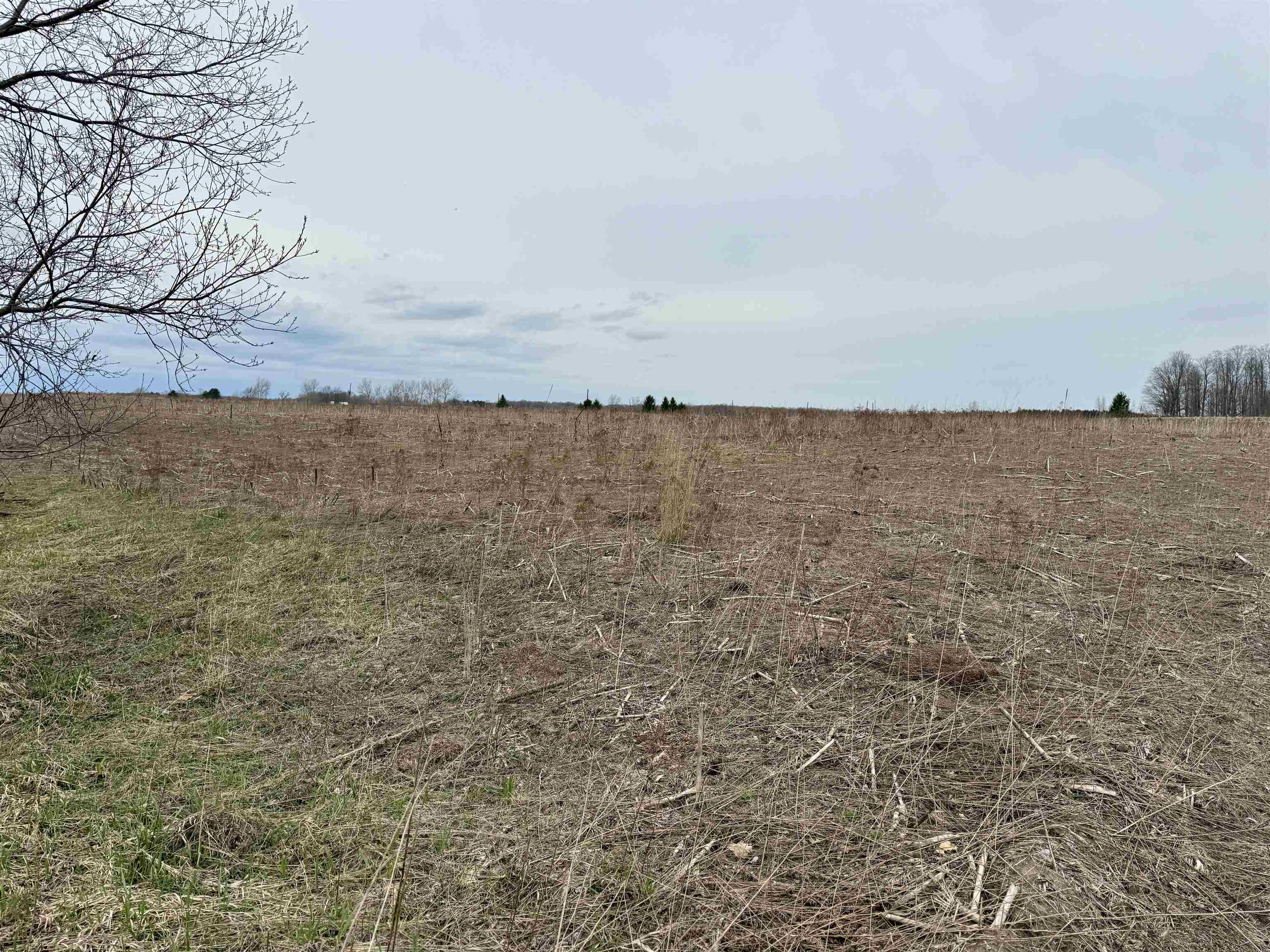 Gleaner Hall Road Kingsley, MI 49649 - Photo 5 of 21