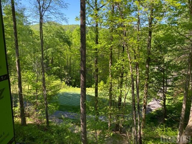 625 Boiling Springs Road Sapphire, NC 28774 - Photo 18 of 32 Gallery Image 18