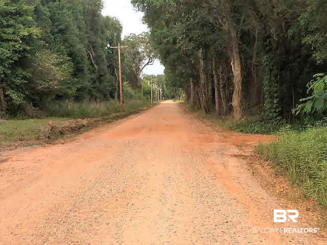 17531 Caldwell Lane Bon Secour, AL 36535 - Photo 4 of 5 Looking East toward County Road 65.