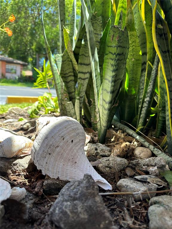 13250 Ridge Road, Unit 17 Largo, FL 33778 - Photo 13 of 30