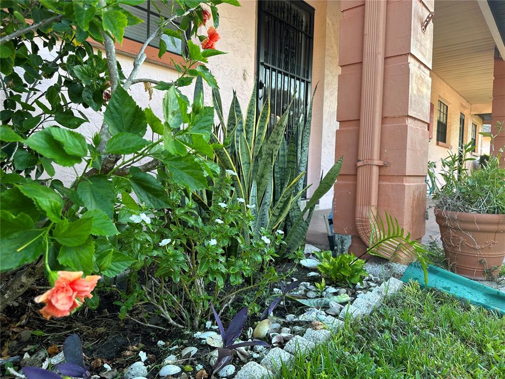 13250 Ridge Road, Unit 17 Largo, FL 33778 - Photo 24 of 30