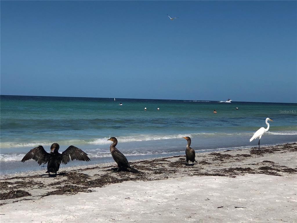 13250 Ridge Road, Unit 17 Largo, FL 33778 - Photo 27 of 30