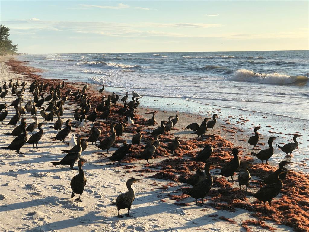 13250 Ridge Road, Unit 17 Largo, FL 33778 - Photo 28 of 30