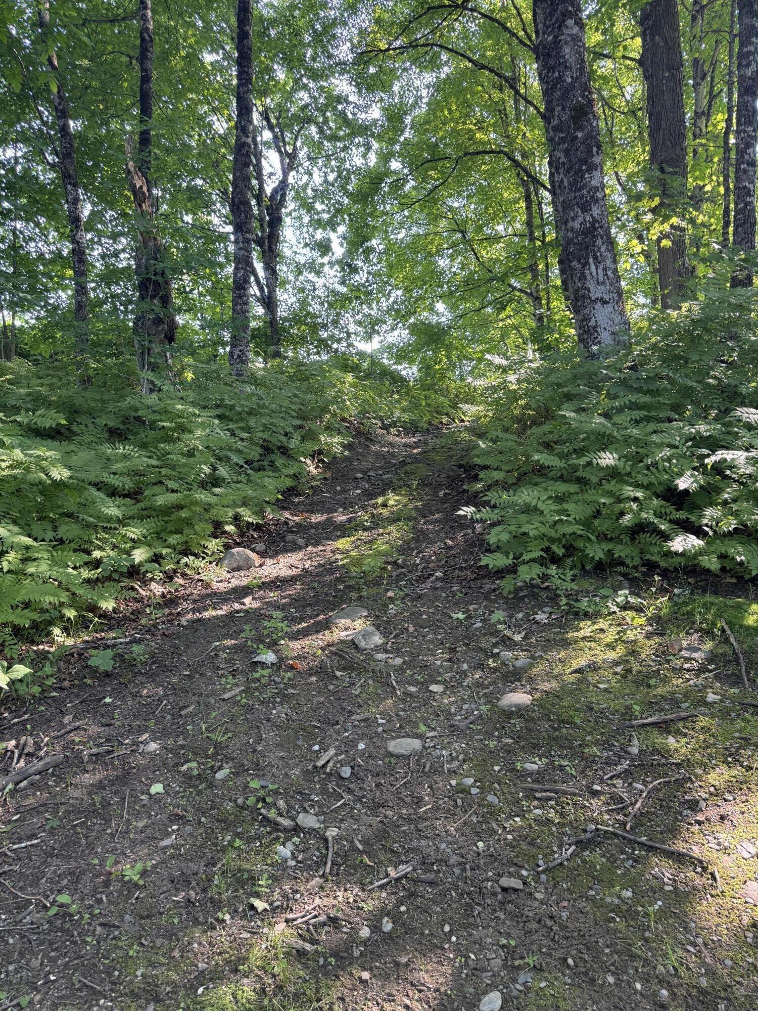 7 Pond Road Abbot, ME 04406 - Photo 59 of 76 IMG_5130