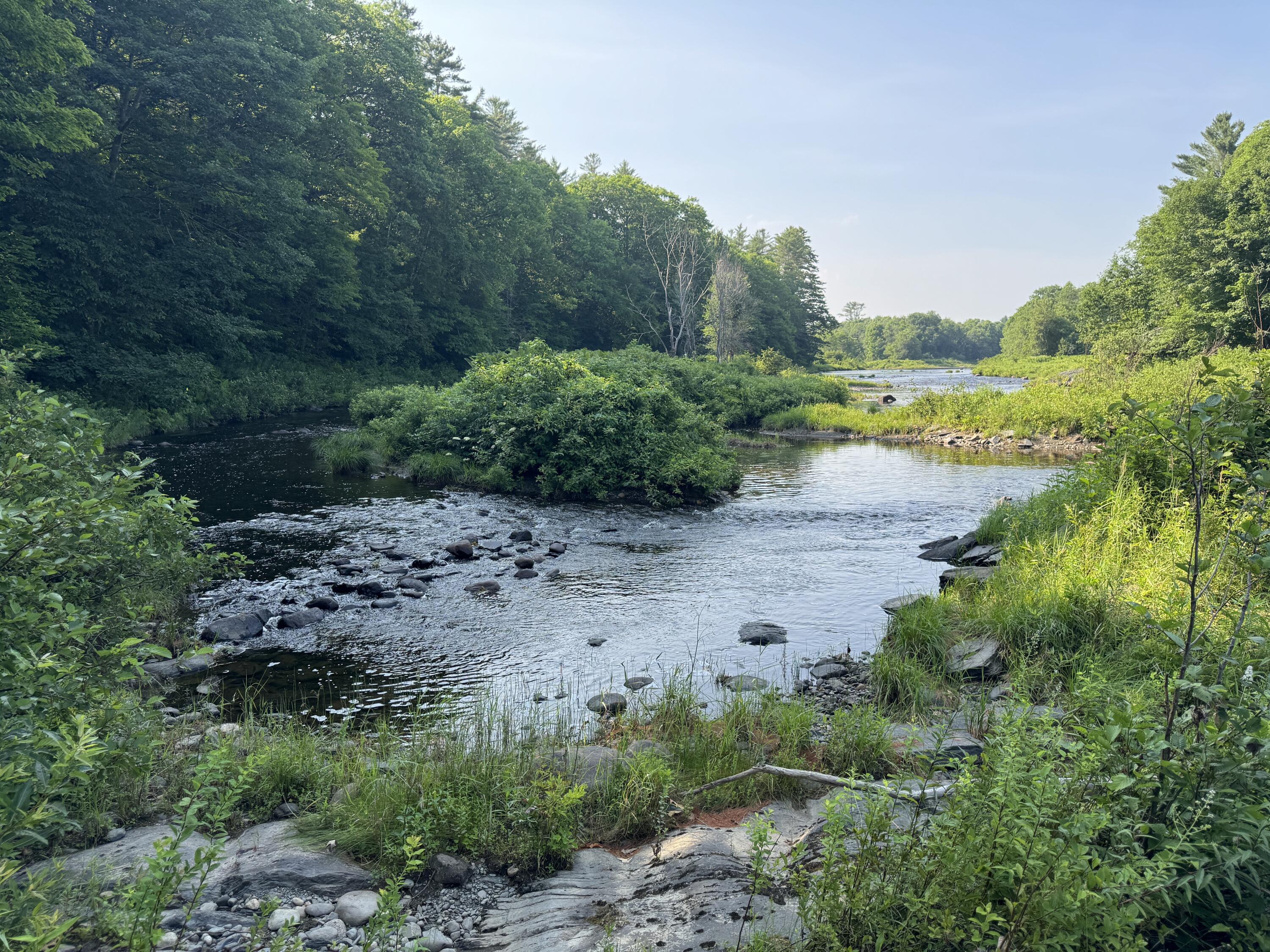 7 Pond Road Abbot, ME 04406 - Photo 65 of 76 IMG_5135