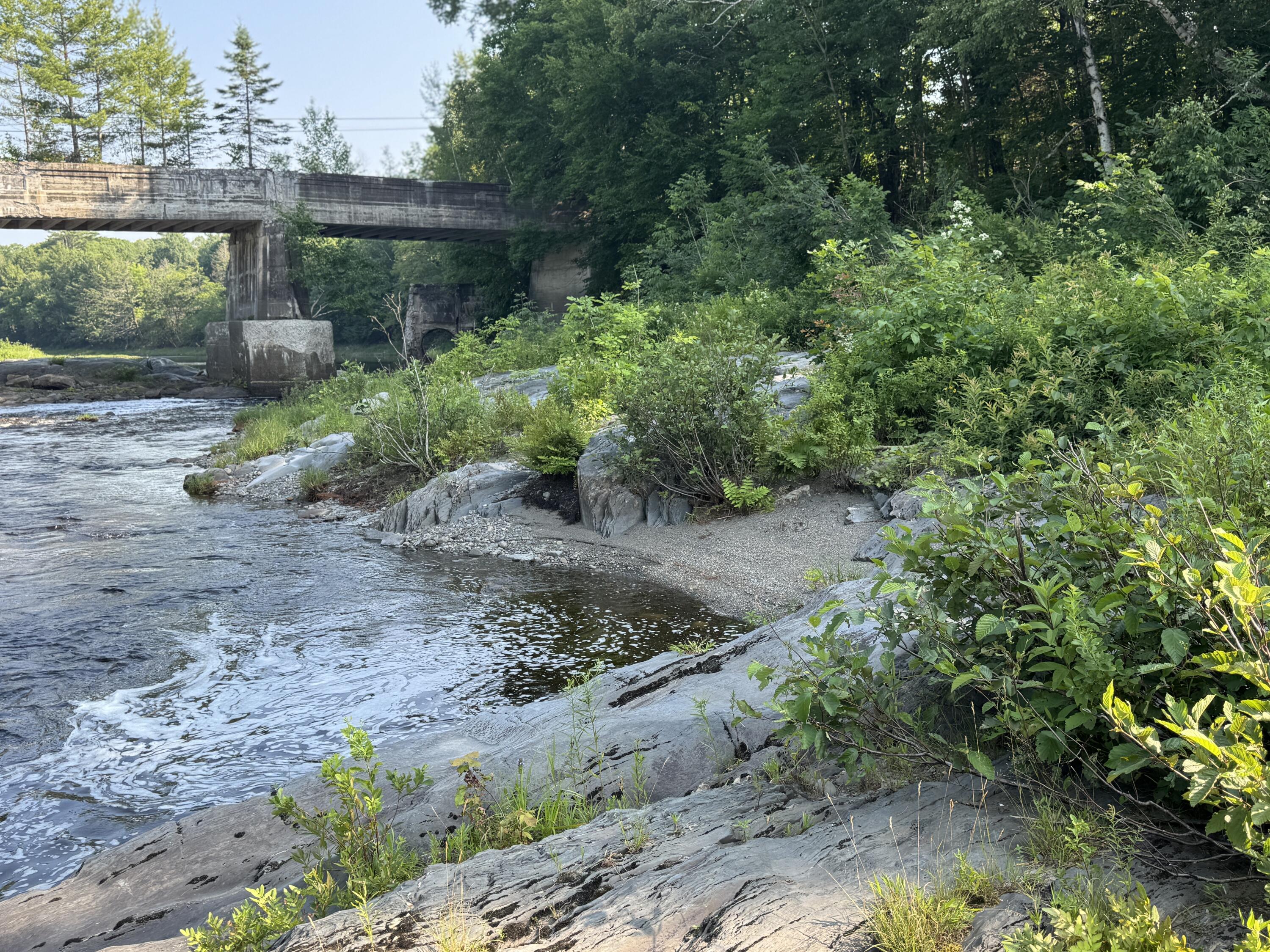 7 Pond Road Abbot, ME 04406 - Photo 68 of 76 IMG_5138