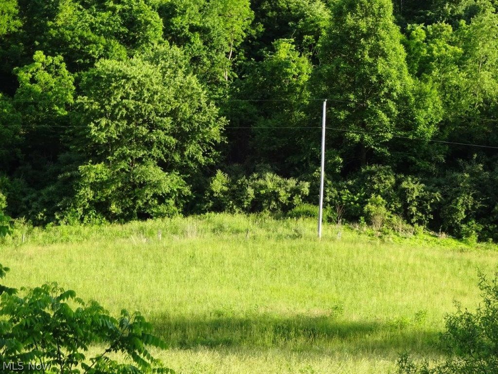 Barrcut Road Spencer, WV 25276 - Photo 6 of 7