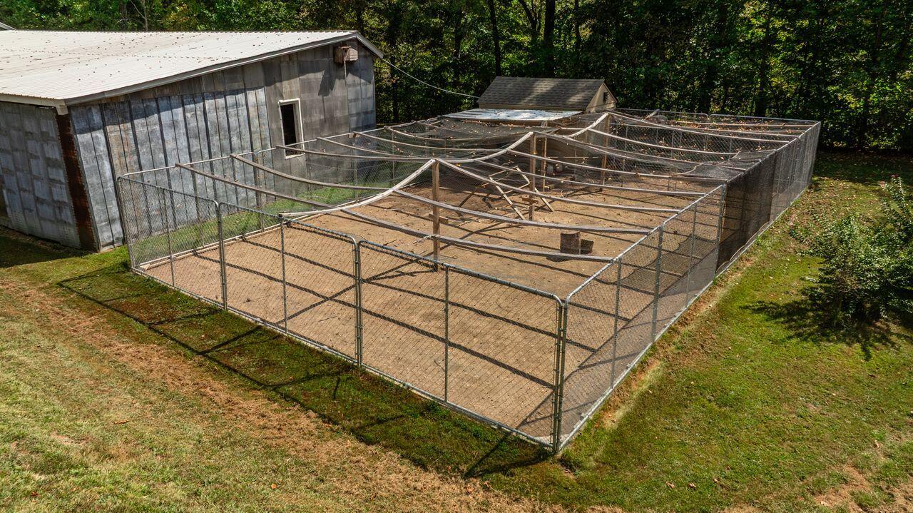 1481 Thornton Road Russell Springs, KY 42642 - Photo 22 of 60 Large chicken yard...safely enclosed
