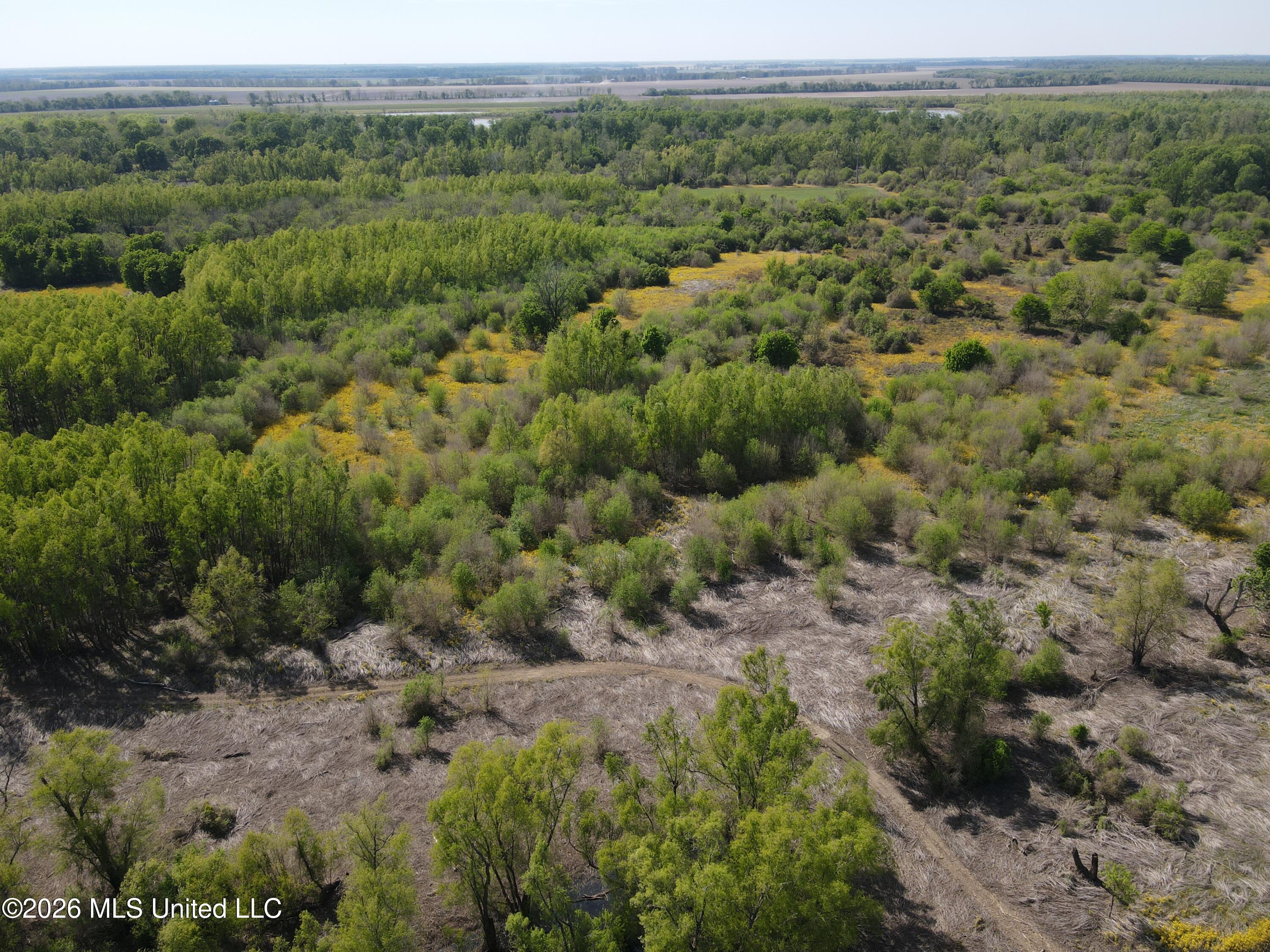 Sparta Road Tallulah, LA 71282 - Photo 104 of 149 dji_fly_20260408_154112_211_177568089893