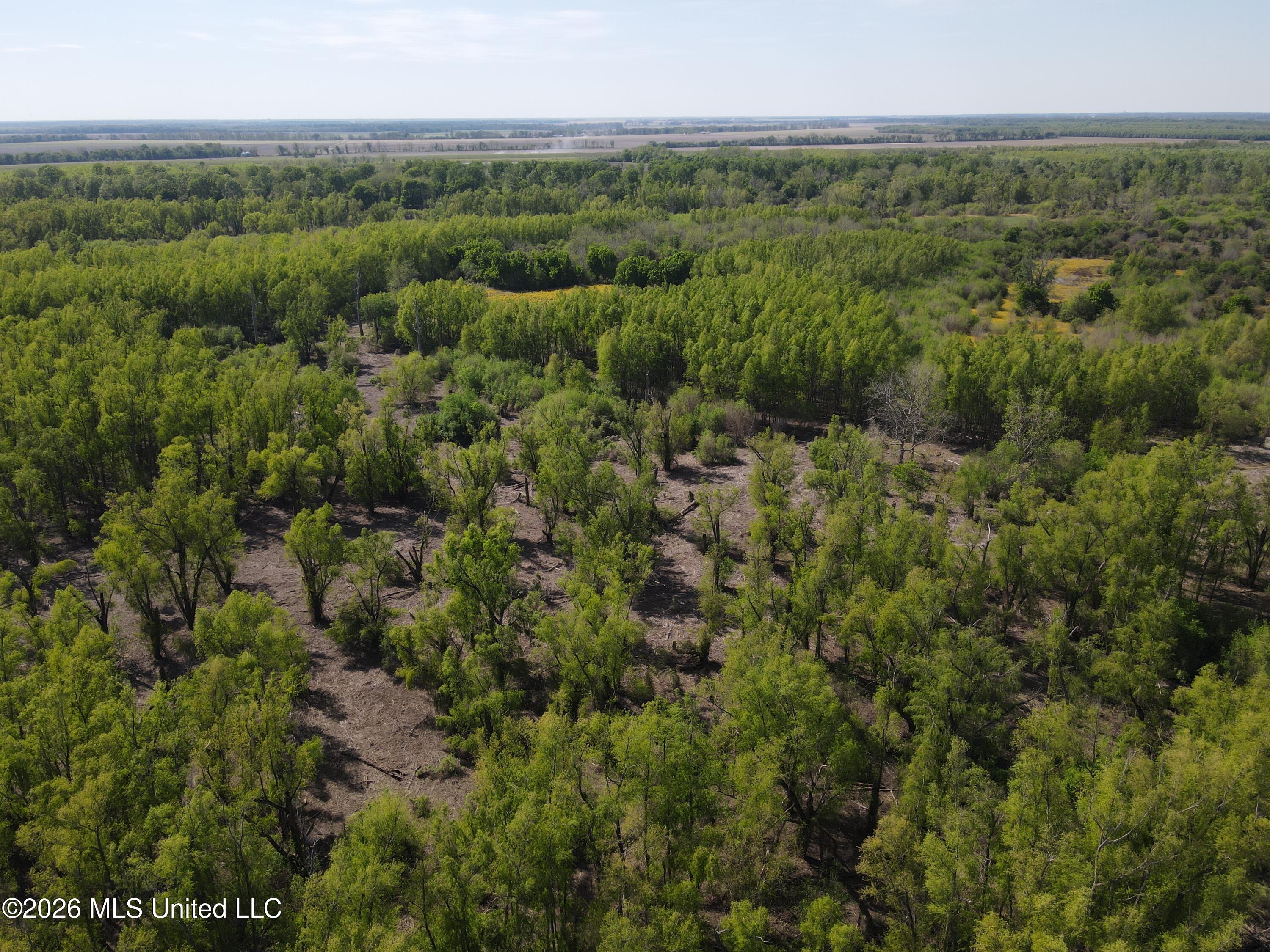 Sparta Road Tallulah, LA 71282 - Photo 107 of 149 dji_fly_20260408_153910_208_177568079526