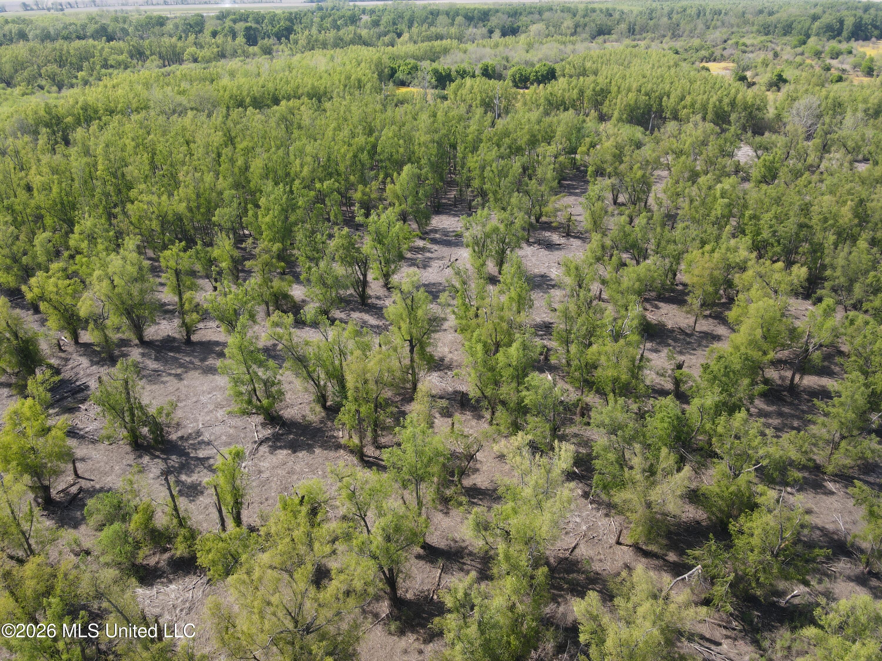 Sparta Road Tallulah, LA 71282 - Photo 109 of 149 dji_fly_20260408_153710_204_177568068716