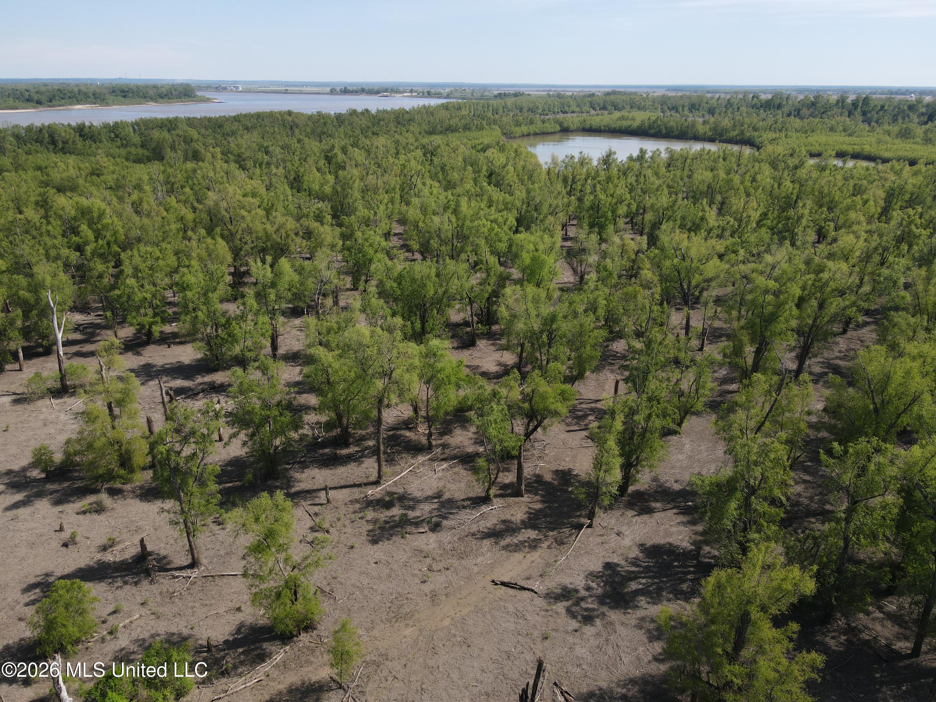 Sparta Road Tallulah, LA 71282 - Photo 113 of 149 dji_fly_20260408_153300_199_177568048456