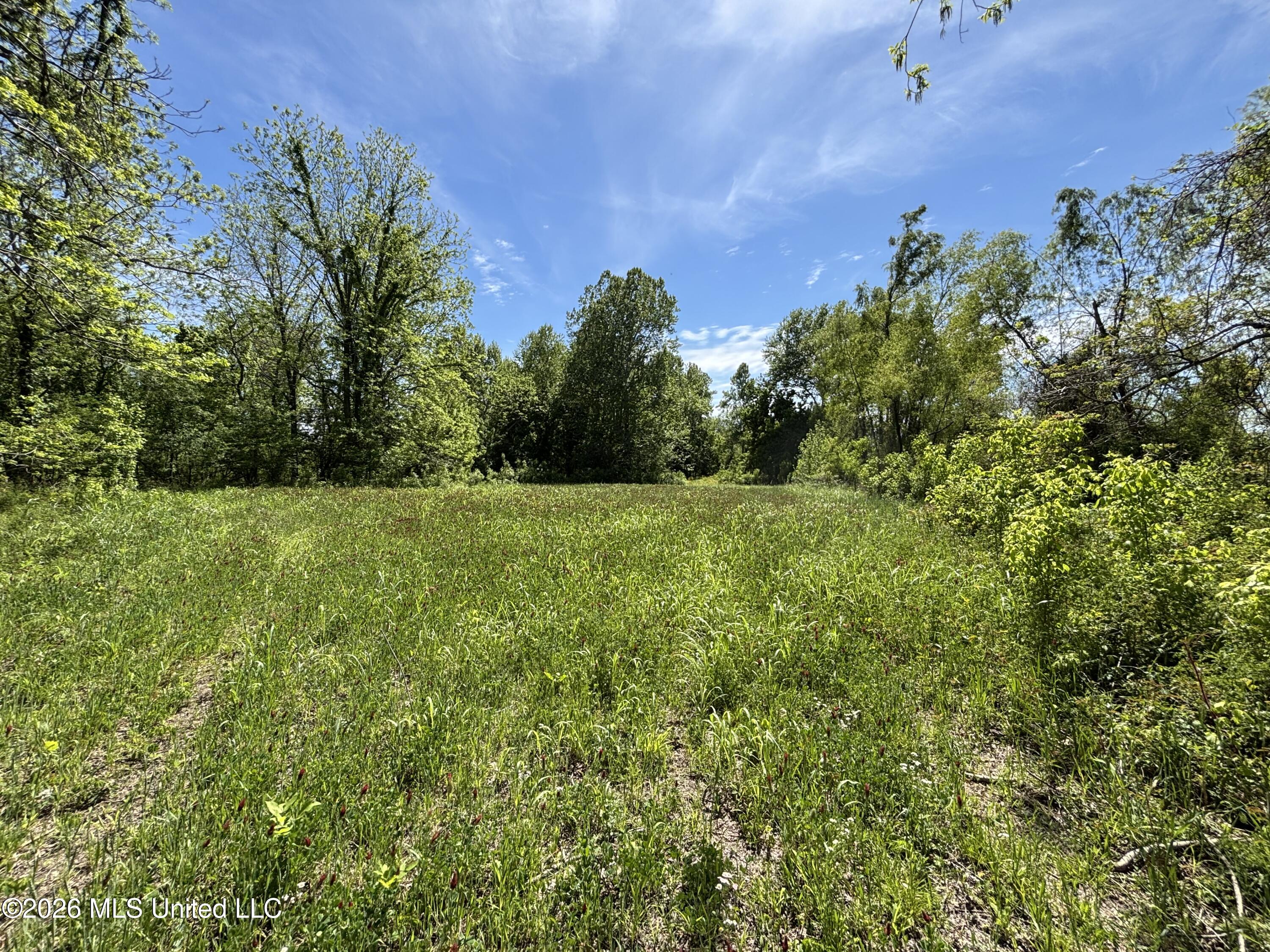 Sparta Road Tallulah, LA 71282 - Photo 121 of 149 IMG_3442