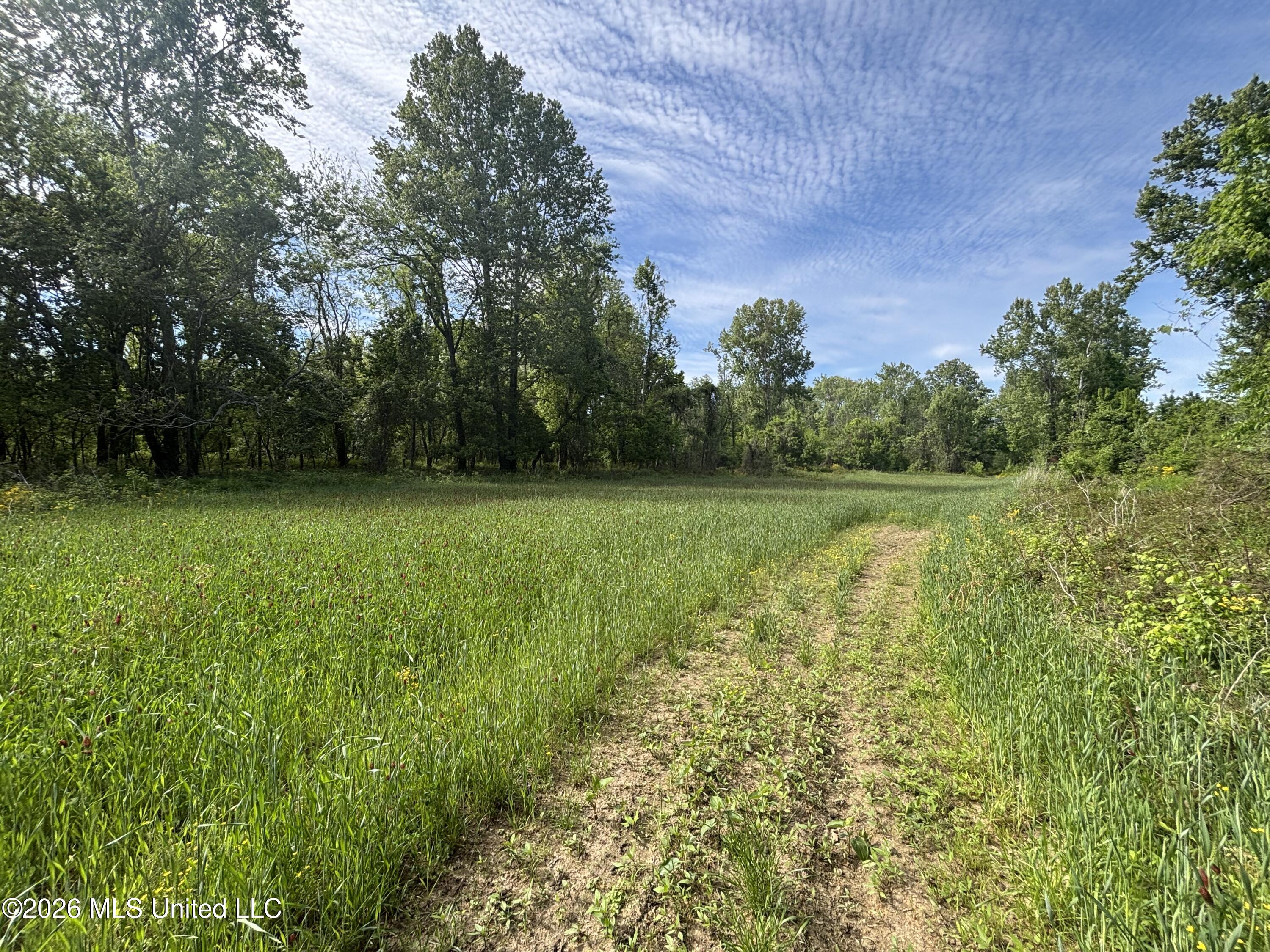 Sparta Road Tallulah, LA 71282 - Photo 26 of 149 IMG_3508