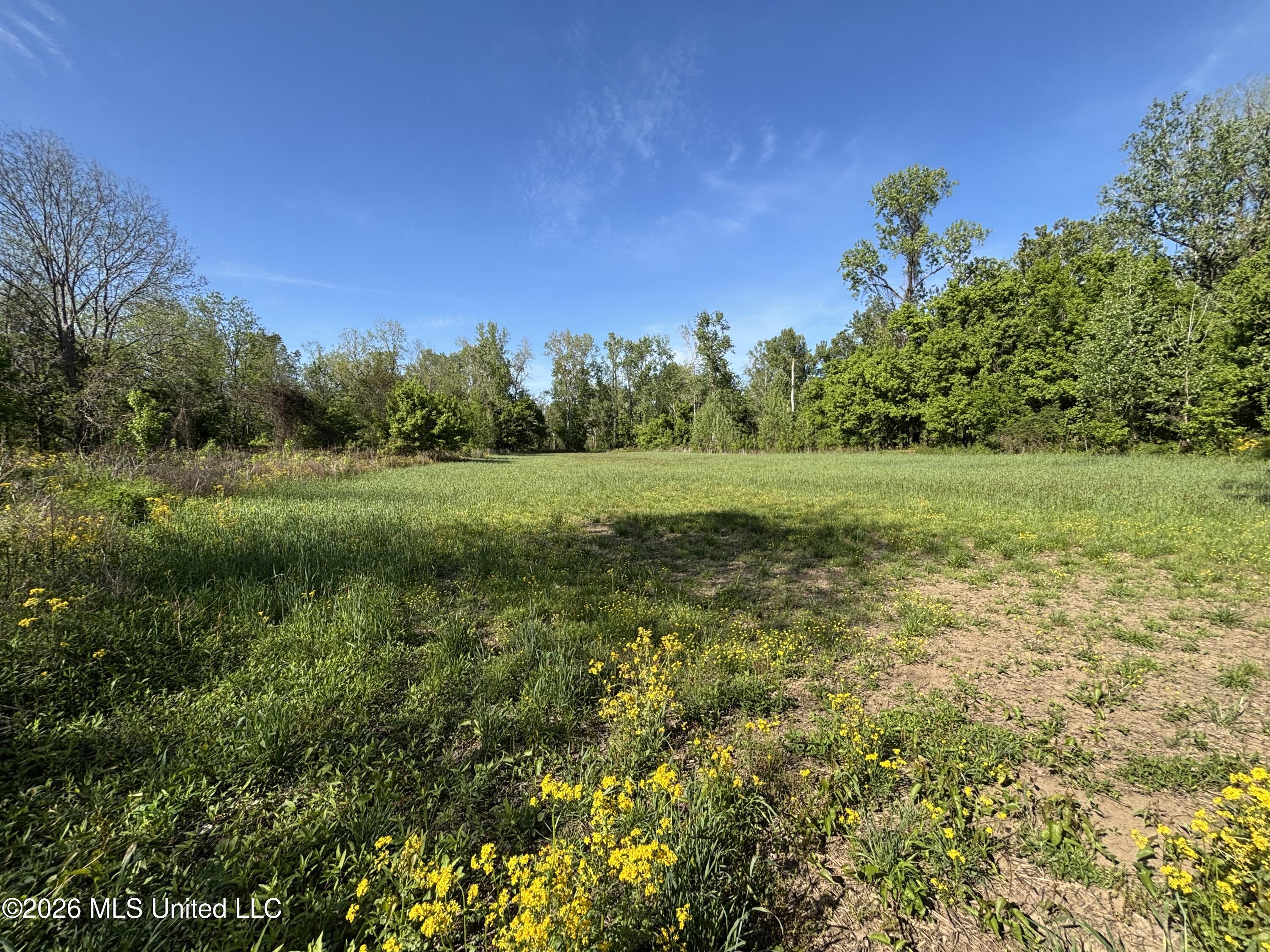 Sparta Road Tallulah, LA 71282 - Photo 28 of 149 IMG_3536