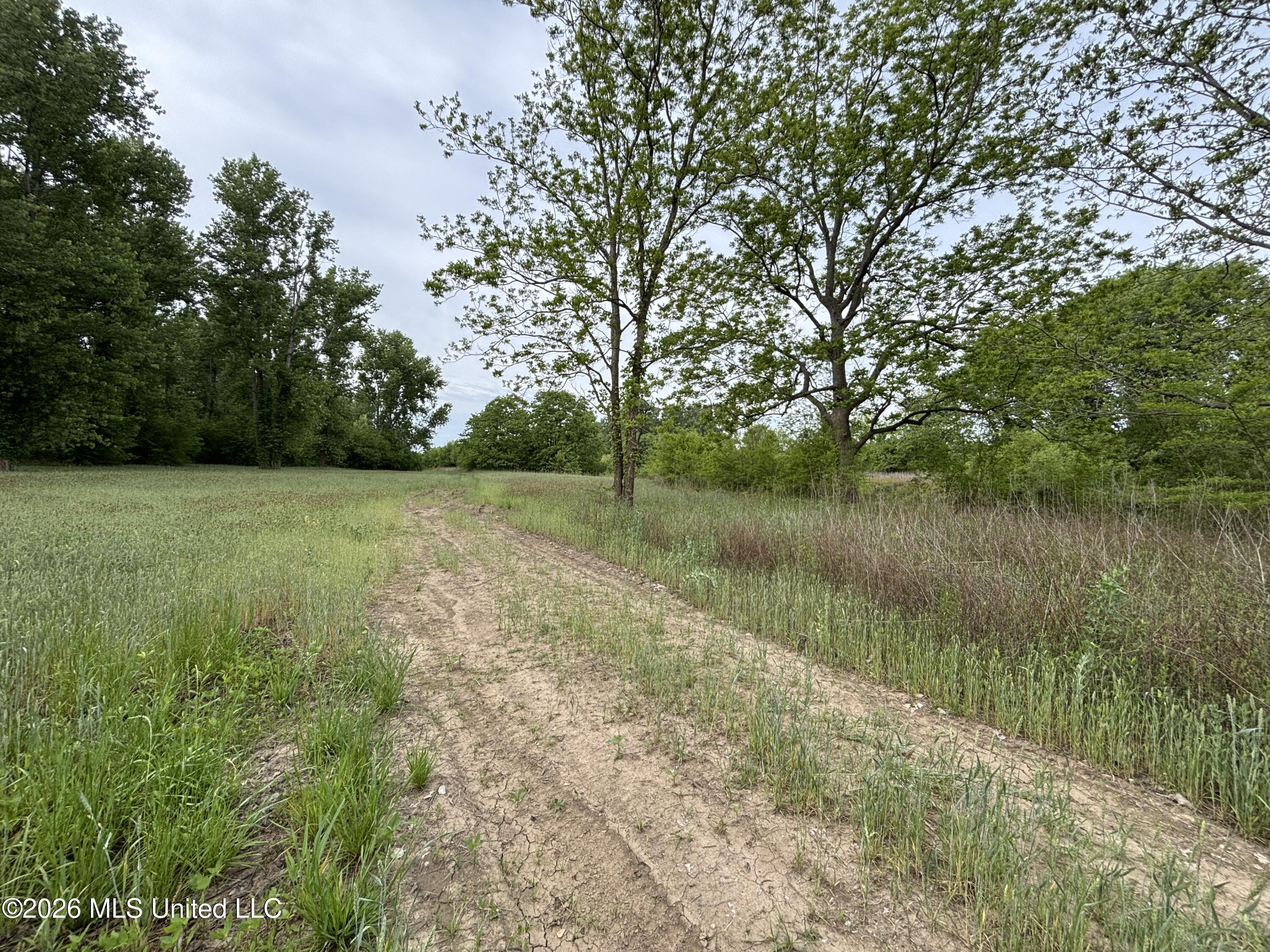 Sparta Road Tallulah, LA 71282 - Photo 52 of 149 IMG_3737