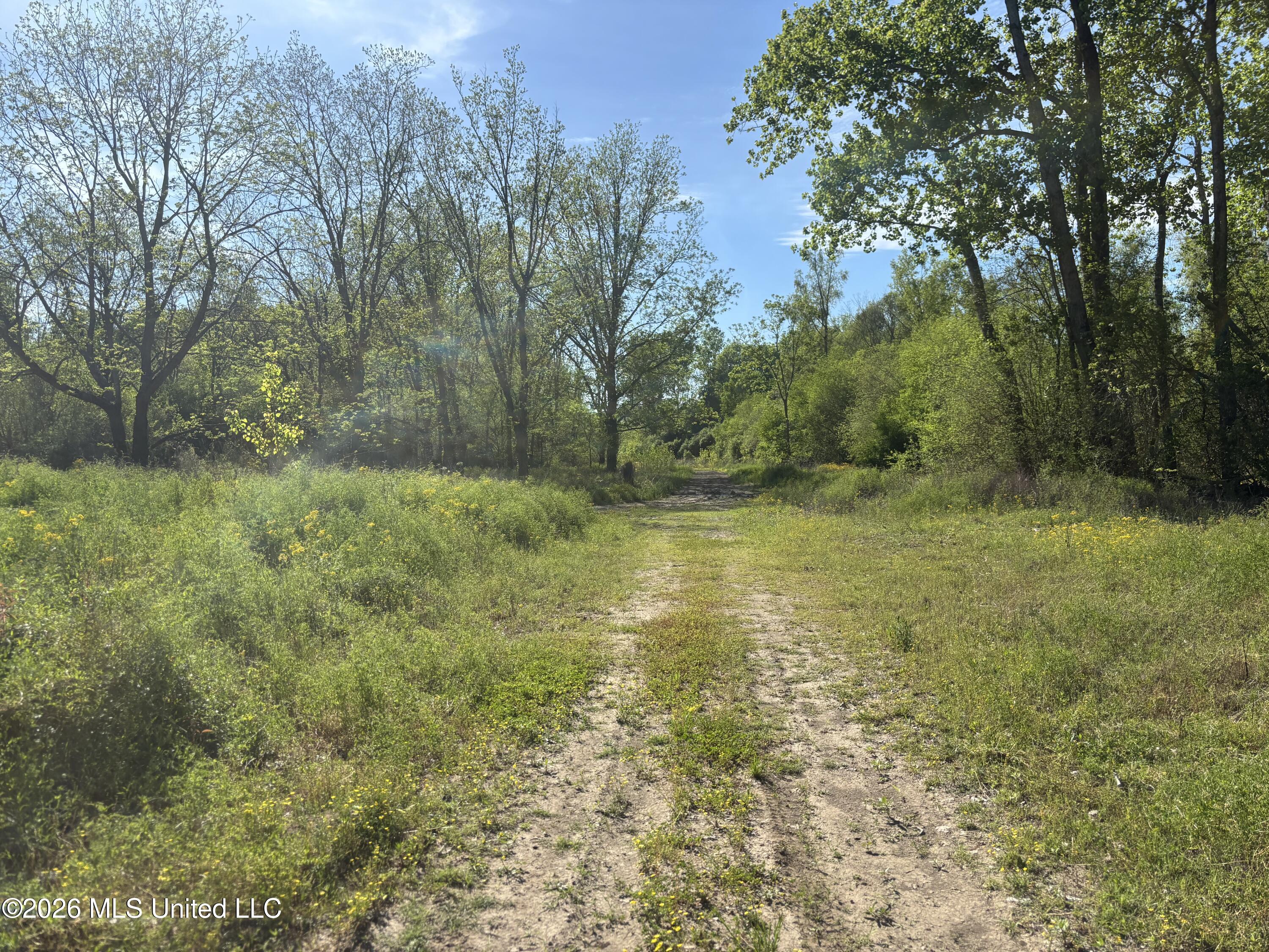 Sparta Road Tallulah, LA 71282 - Photo 59 of 149 IMG_3531