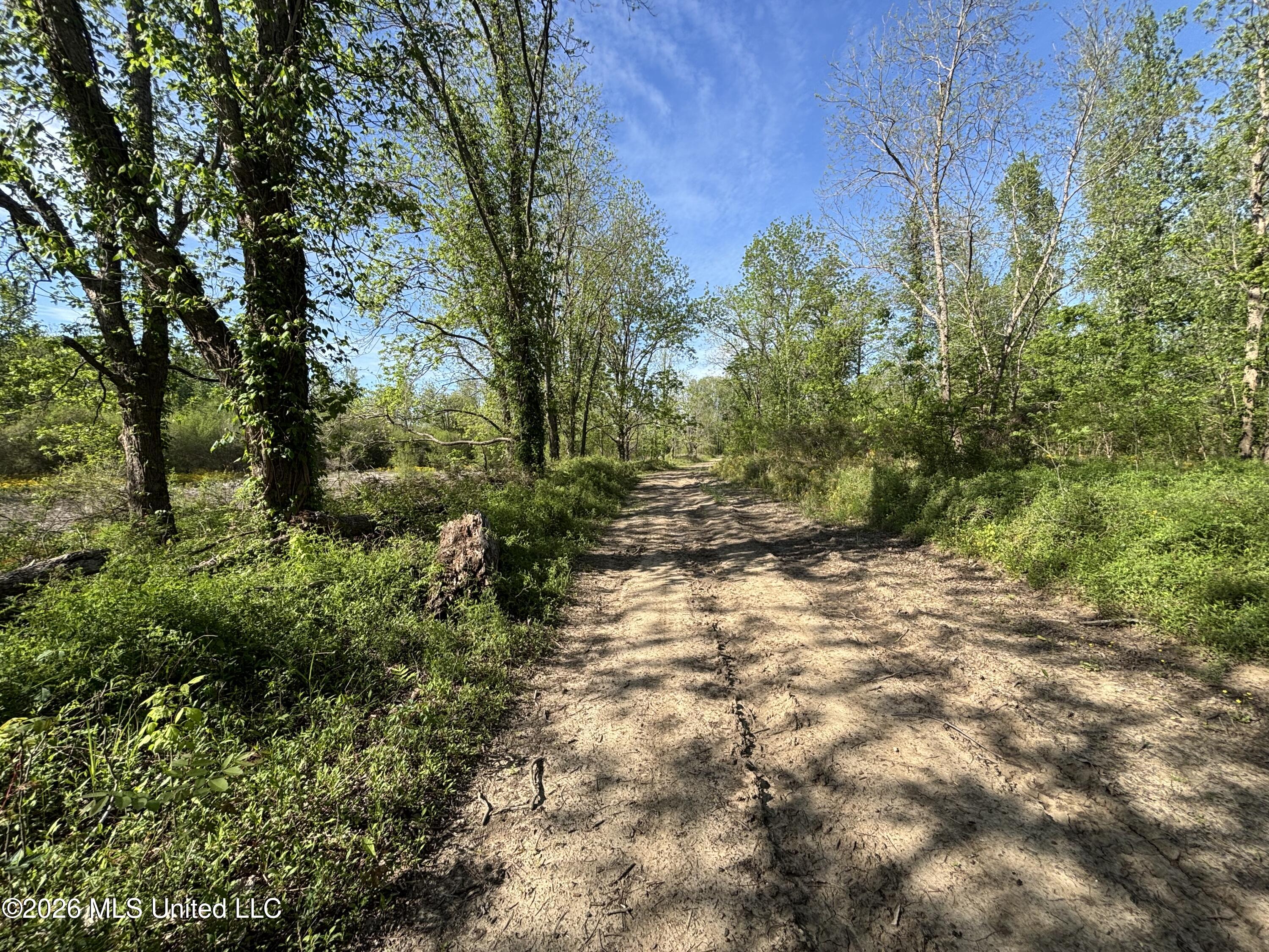 Sparta Road Tallulah, LA 71282 - Photo 60 of 149 IMG_3530