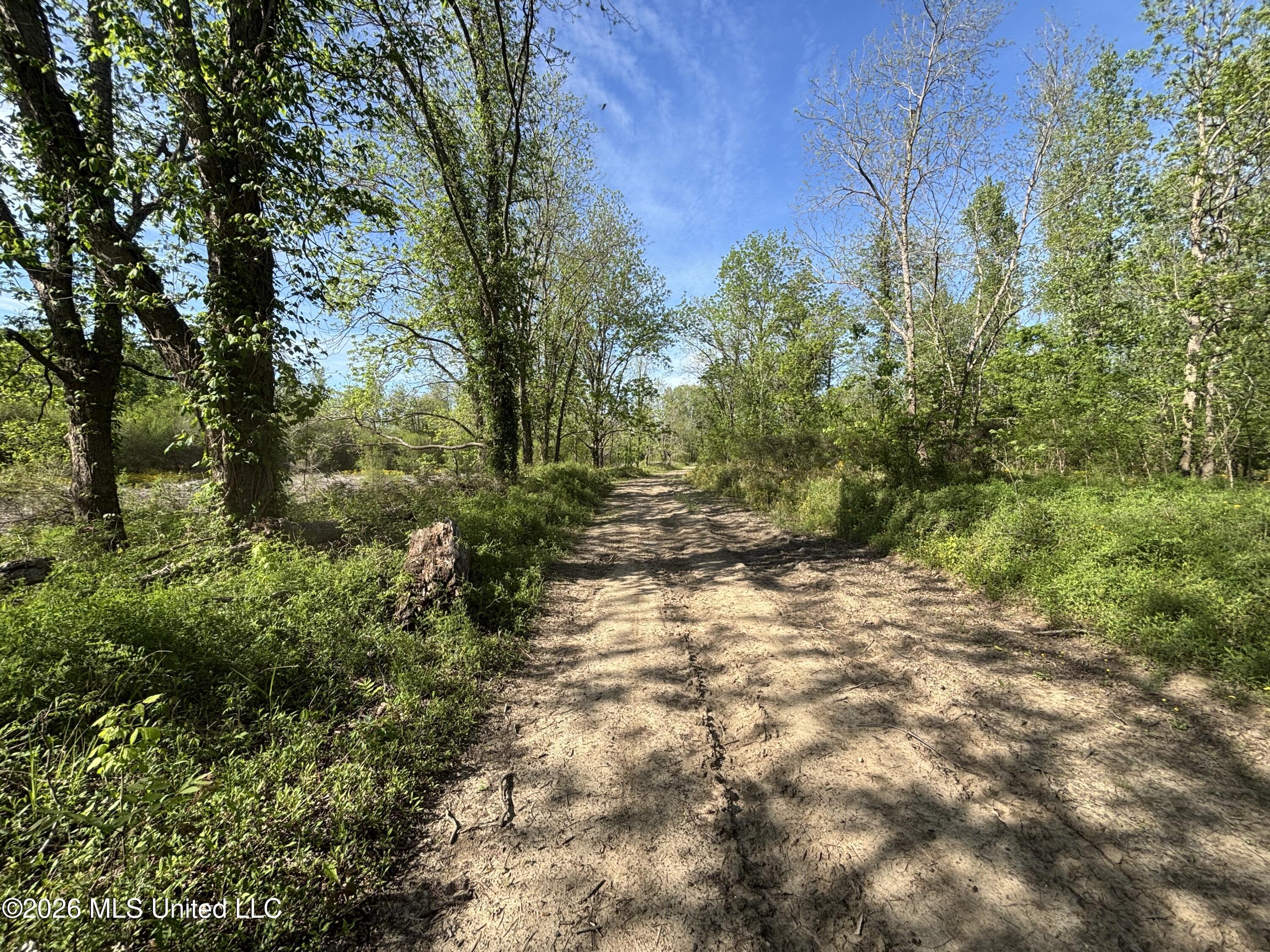 Sparta Road Tallulah, LA 71282 - Photo 61 of 149 IMG_3529