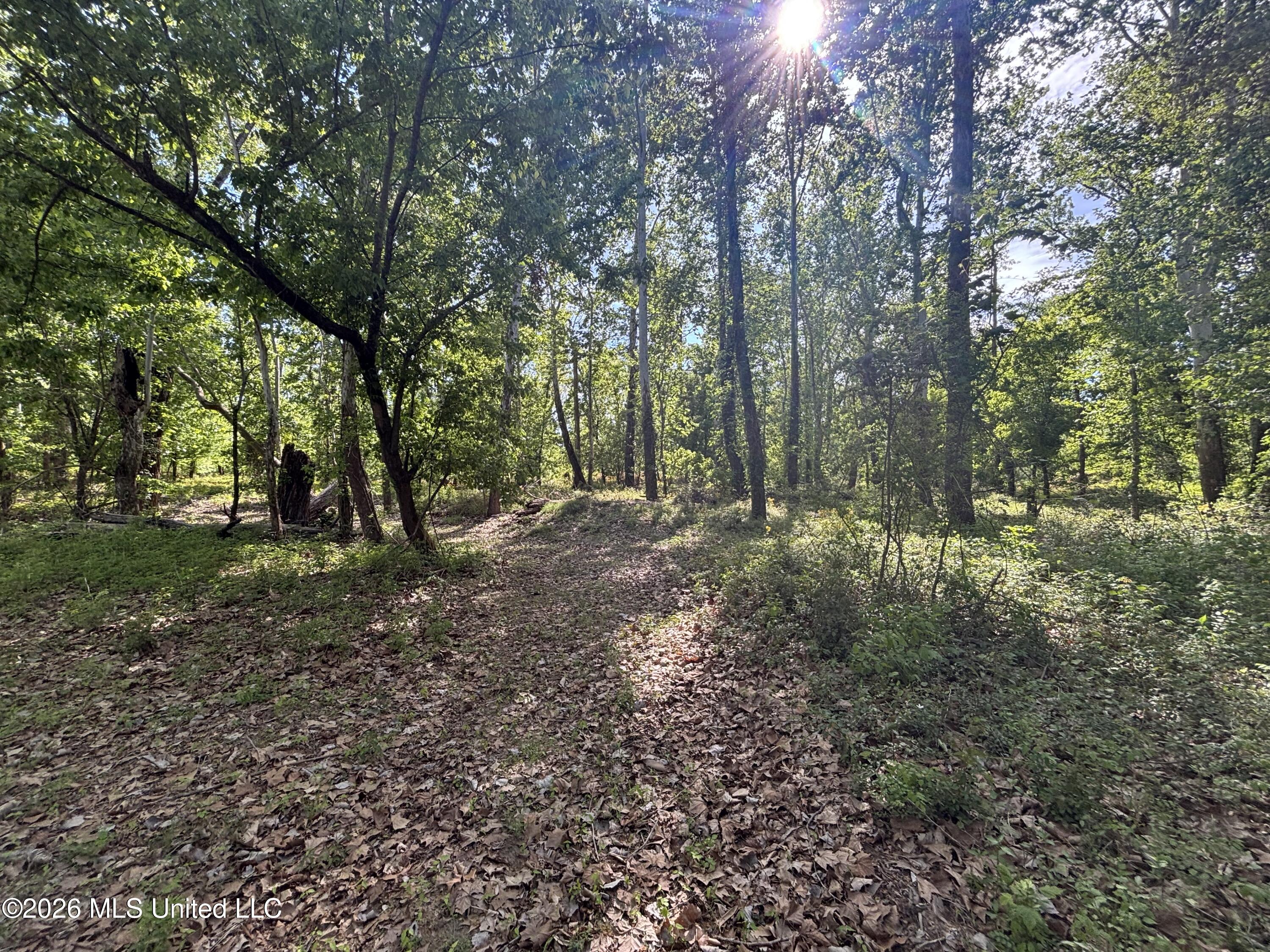 Sparta Road Tallulah, LA 71282 - Photo 63 of 149 IMG_3526