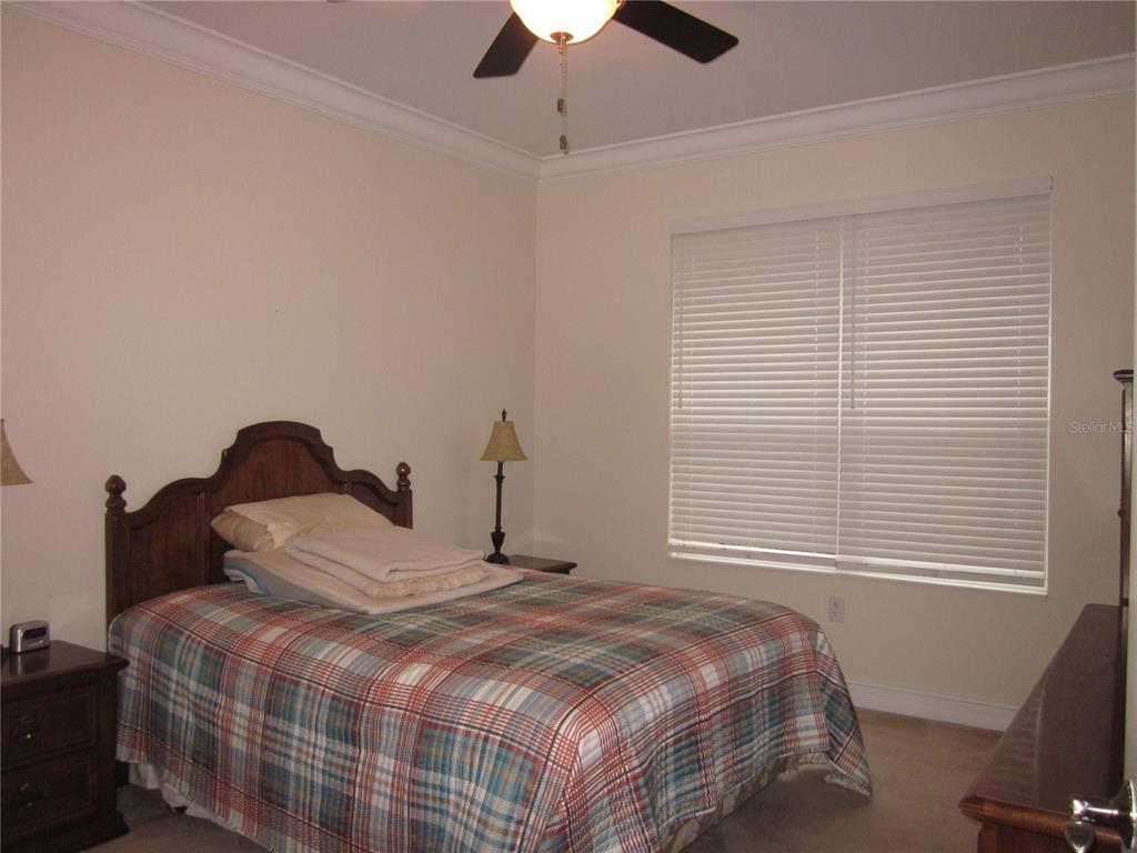 4015 Courtside Way Tampa, FL 33618 - Photo 14 of 39