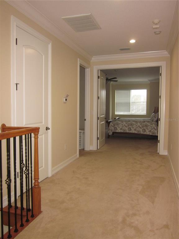 4015 Courtside Way Tampa, FL 33618 - Photo 18 of 39