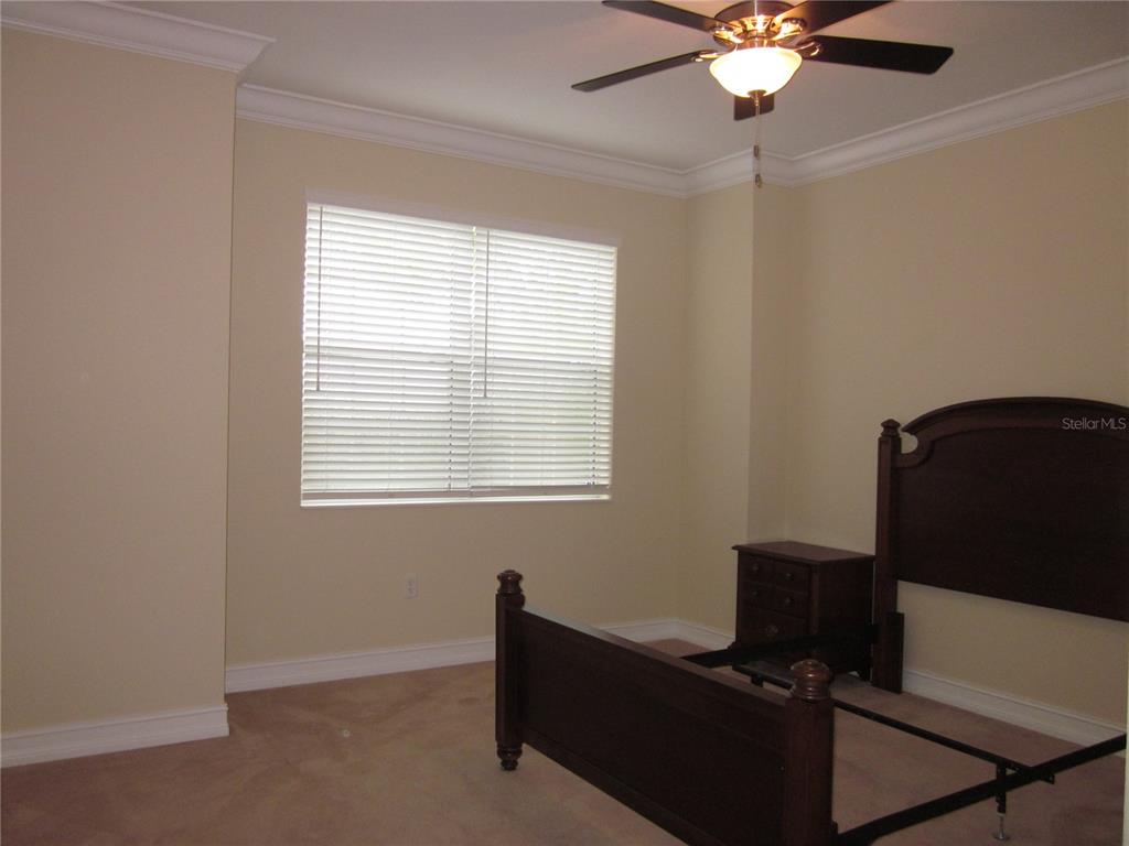 4015 Courtside Way Tampa, FL 33618 - Photo 21 of 39