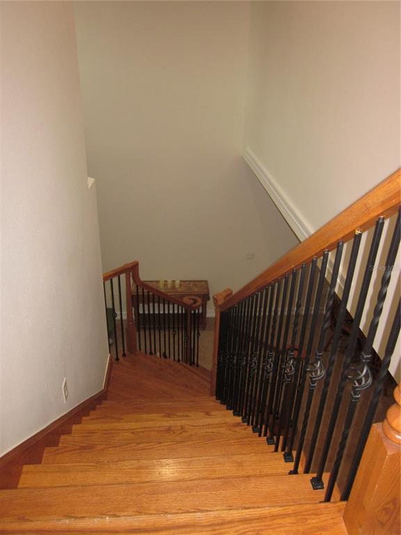 4015 Courtside Way Tampa, FL 33618 - Photo 34 of 39