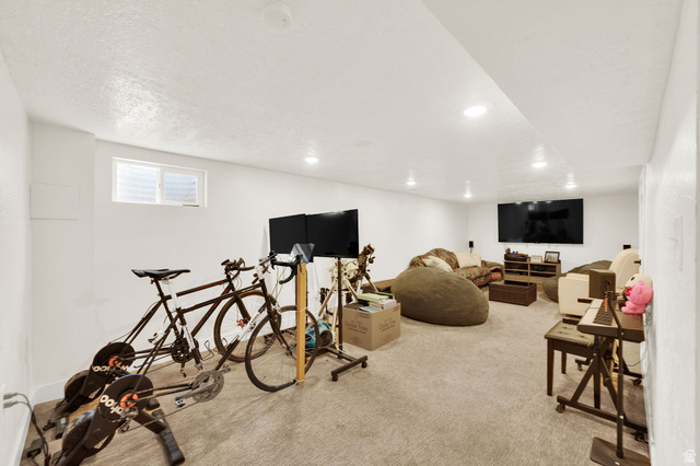 55 East Diamond Street Layton, UT 84041 - Photo 23 of 28 Basement Living Room