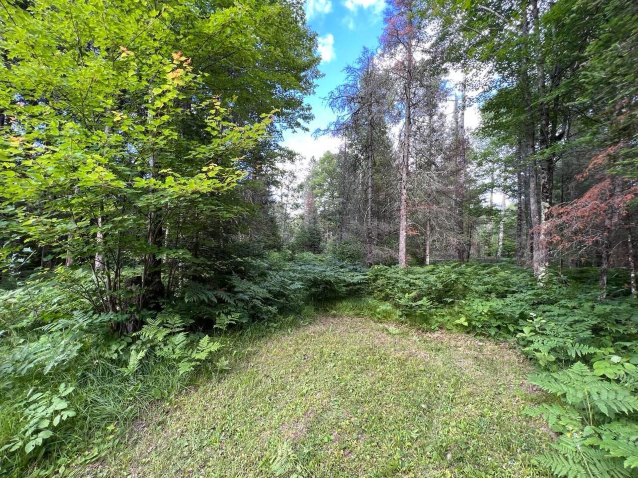253 Kus Road Armstrong Creek, WI 54103 - Photo 40 of 42 Gallery Image 40