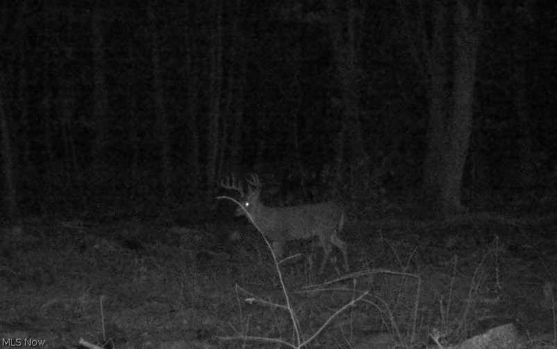 Nebraska Road Dundee, OH 44624 - Photo 24 of 47 Gallery Image 24