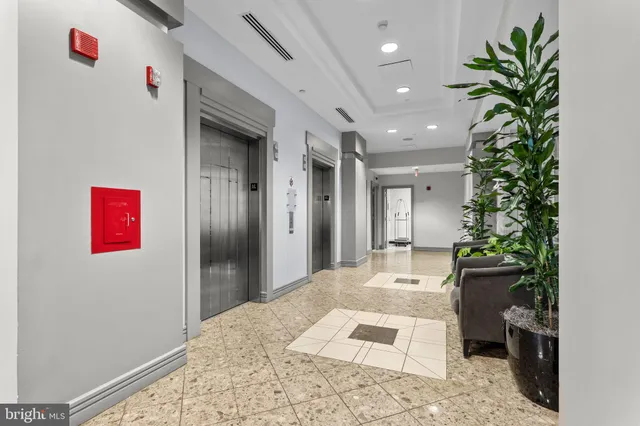 a view of a hallway with a potted plant